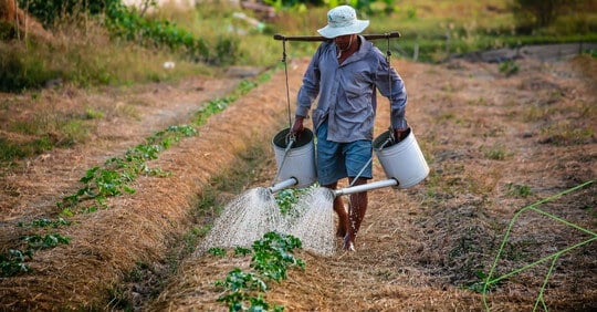 carbon-credits-for-farmers-carbon-group