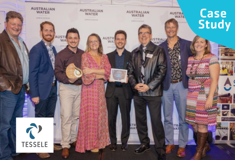 Case Study: Tessele Group